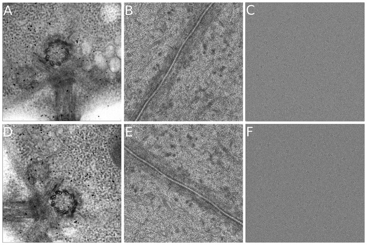 Fig. 3.