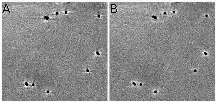 Fig. 7.