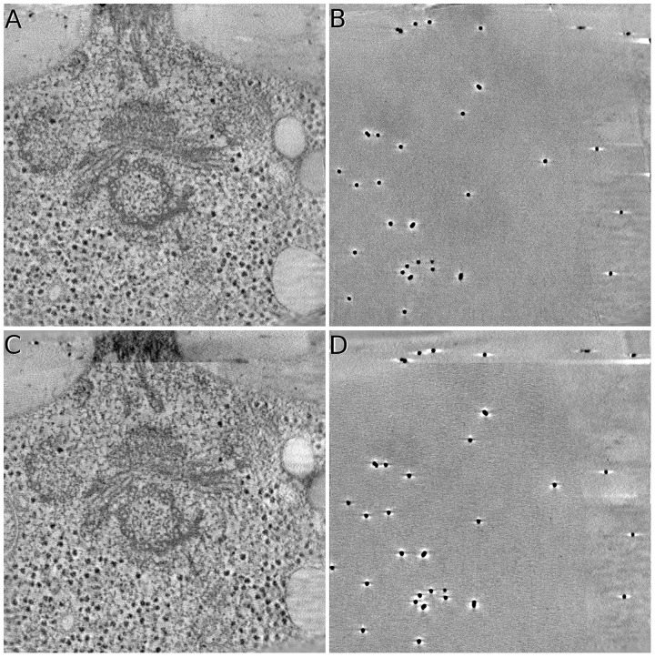 Fig. 8.