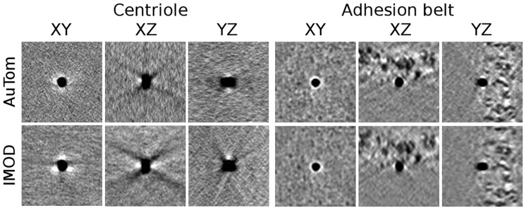 Fig. 10.