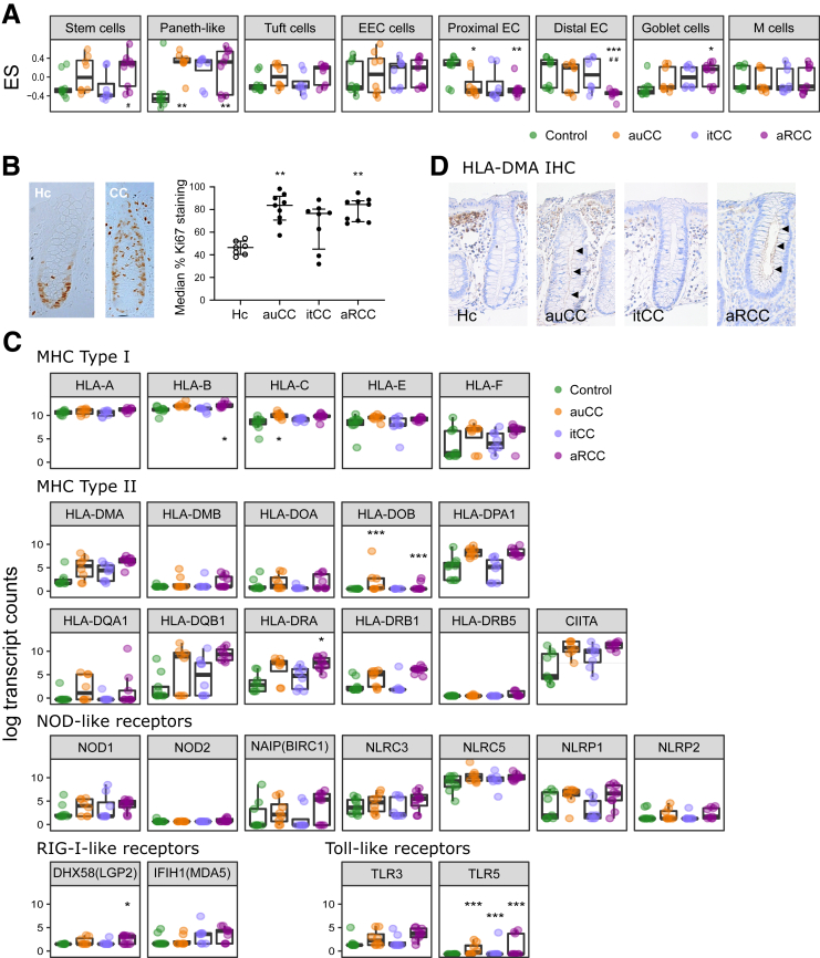 Figure 11