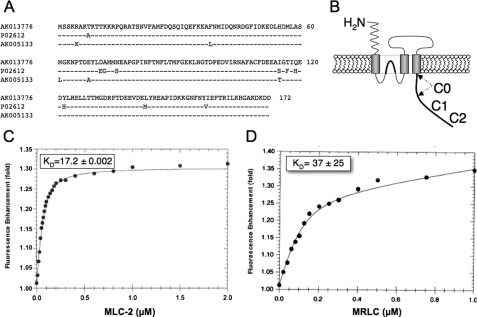 FIGURE 1.