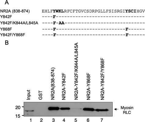 FIGURE 11.