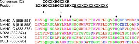 FIGURE 10.