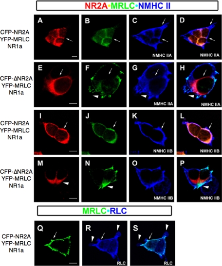 FIGURE 13.