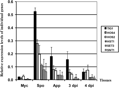 Figure 11.