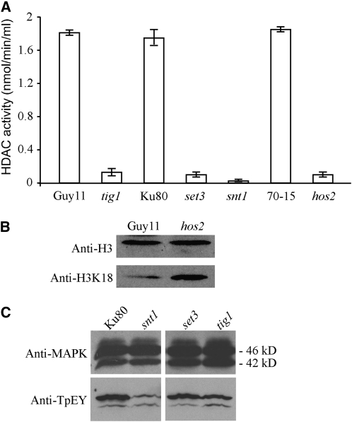 Figure 9.