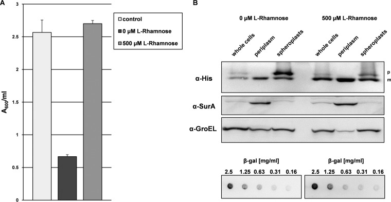 FIG 1