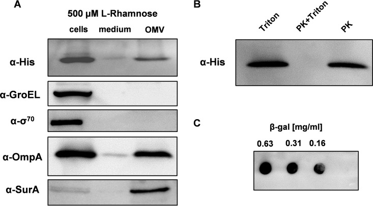 FIG 4