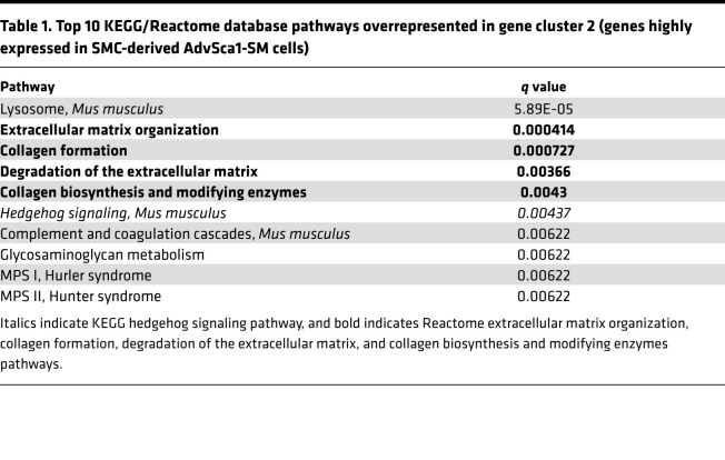 graphic file with name jciinsight-5-139445-g056.jpg