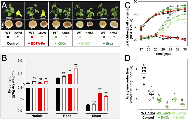 FIG 2