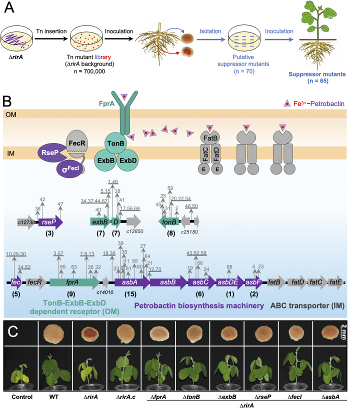 FIG 3