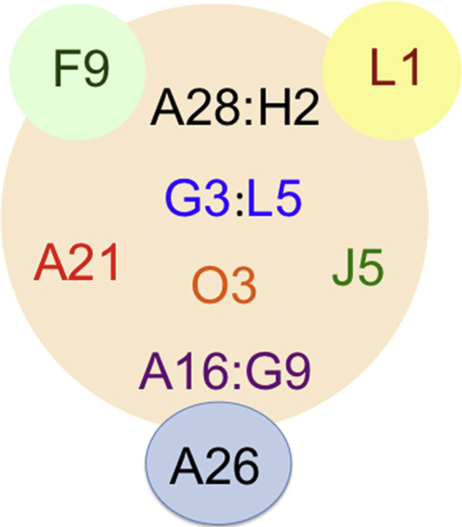 Fig. 2