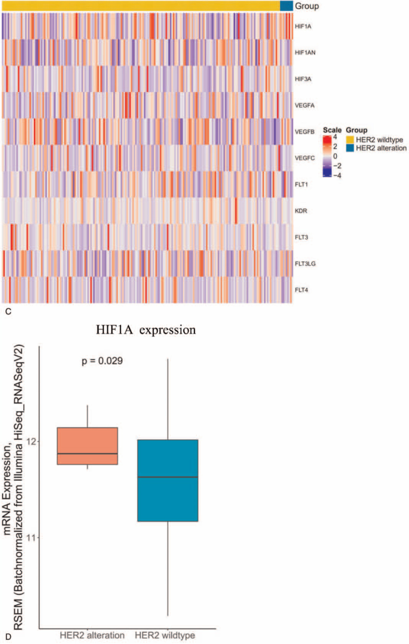 Figure 4 (Continued)