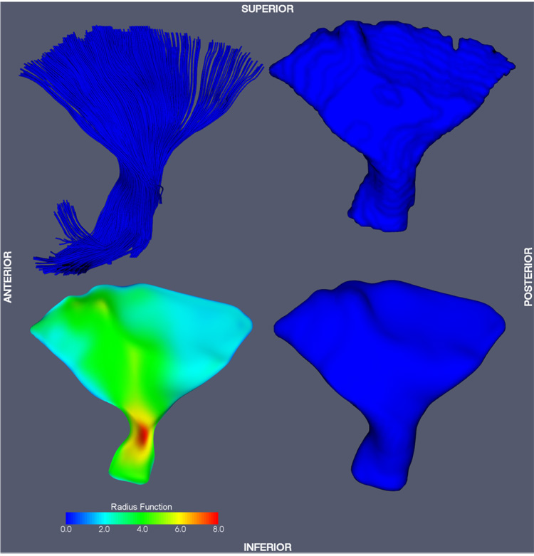 Fig. 7