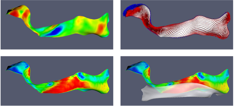 Fig. 15