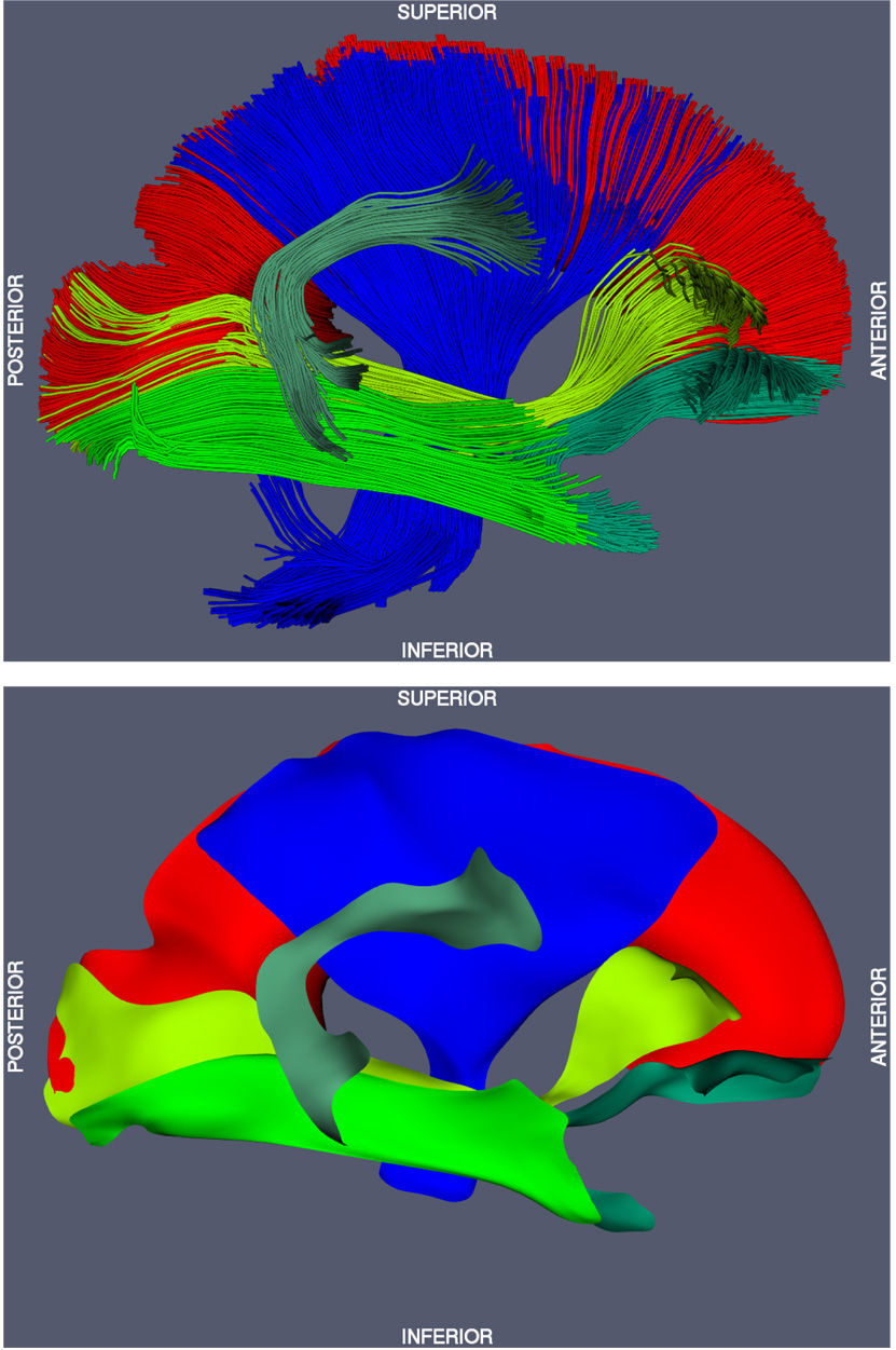 Fig. 10