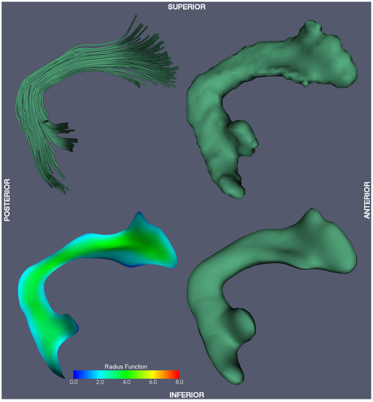 Fig. 9