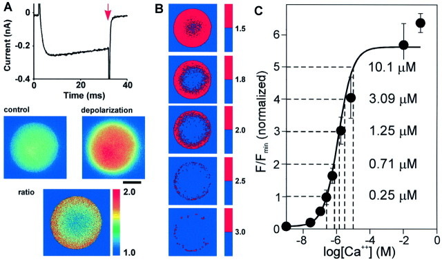 Fig. 1.