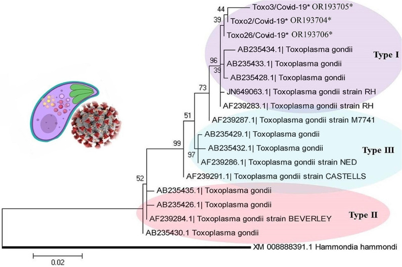 Fig. 3