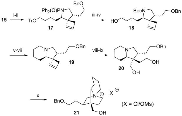 Scheme 5