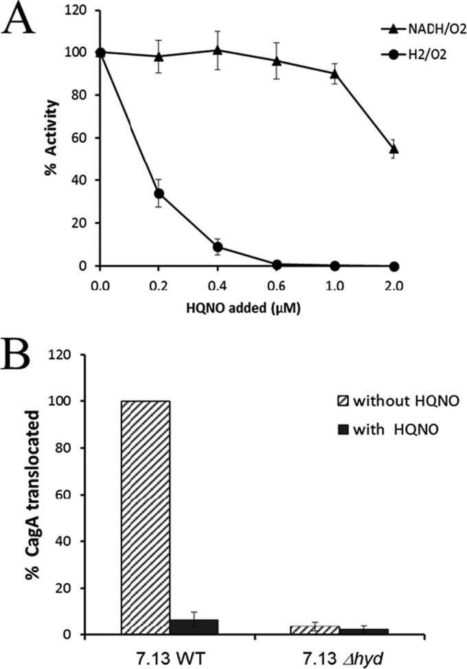 FIG 2 