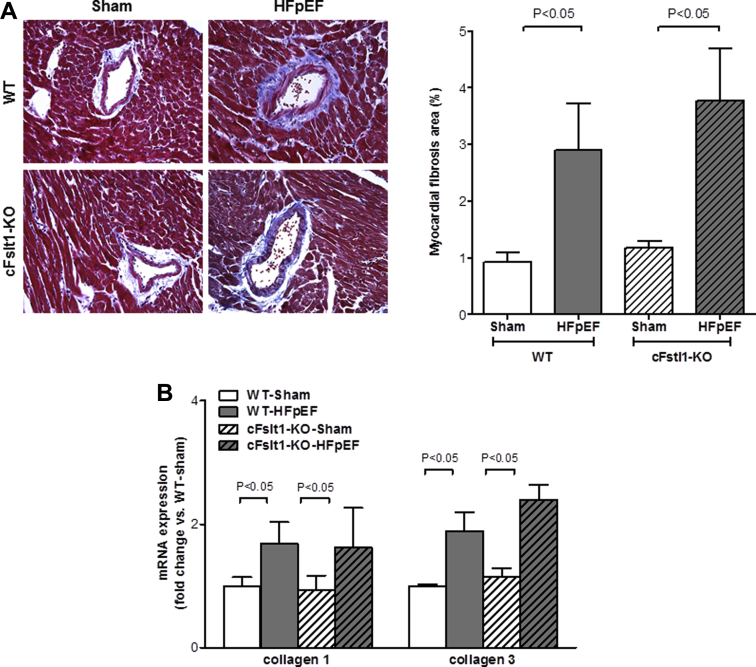 Figure 6