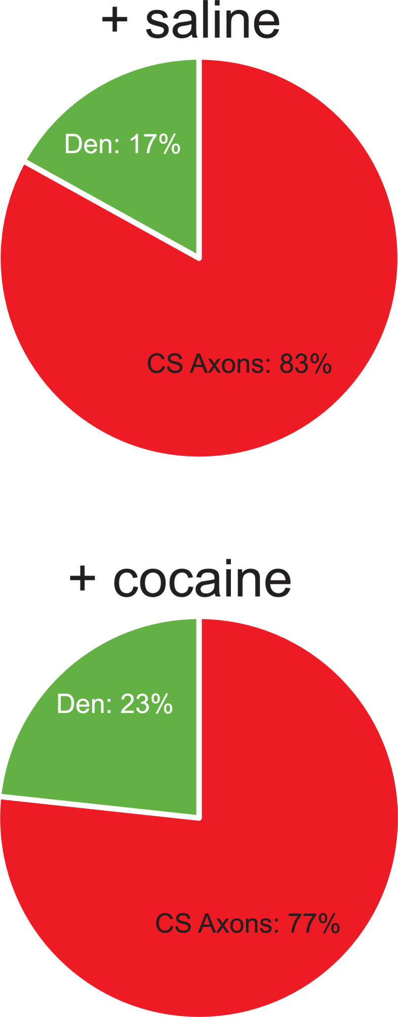 Figure 6—figure supplement 3.