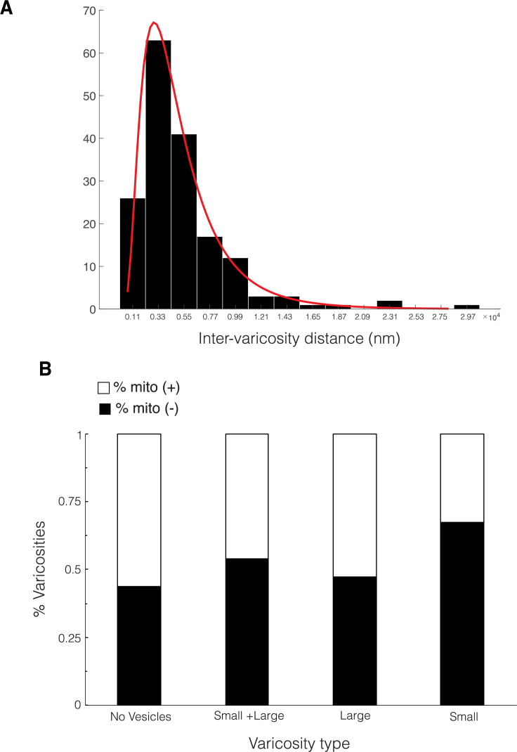 Figure 3—figure supplement 1.