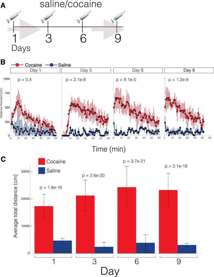 Figure 6—figure supplement 1.