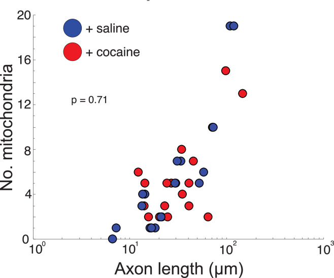 Figure 9—figure supplement 1.