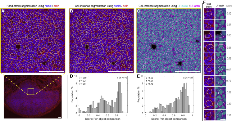 Figure 2