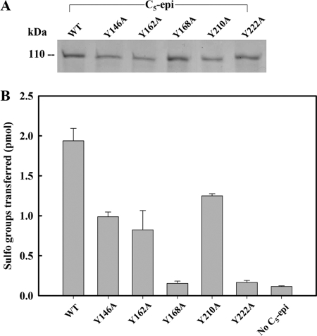 FIGURE 7.