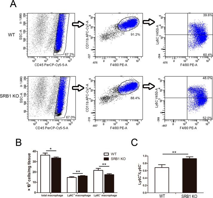 Figure 5.