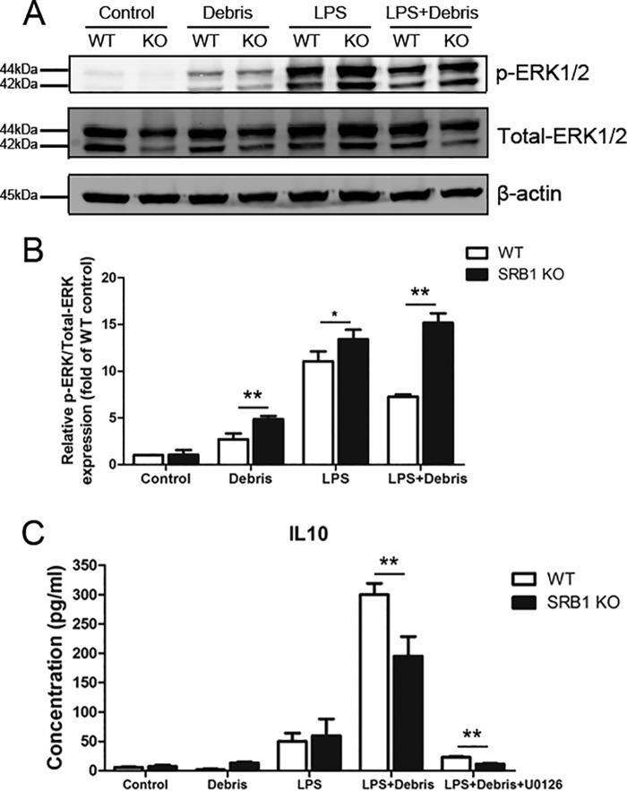 Figure 10.