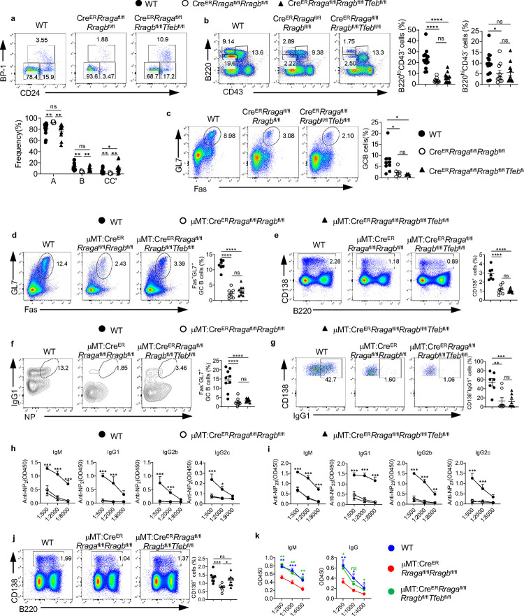 Extended Data Fig. 6