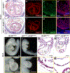 Fig. 2: