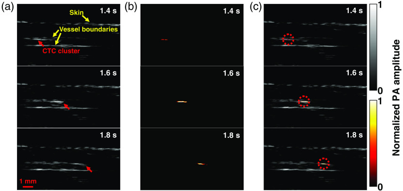 Fig. 7