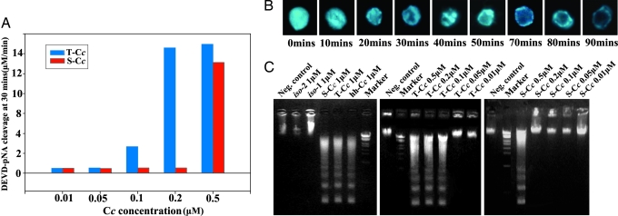 Fig. 3.