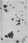 1070-2
