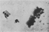 1070-2