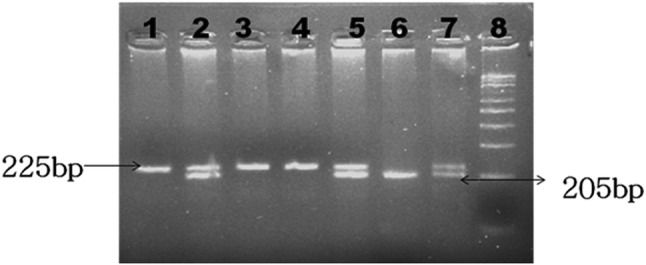 Fig. 2