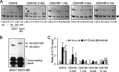 FIG. 8.