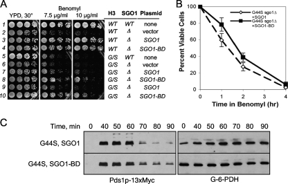 FIG. 9.