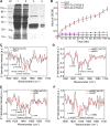 Figure 10.