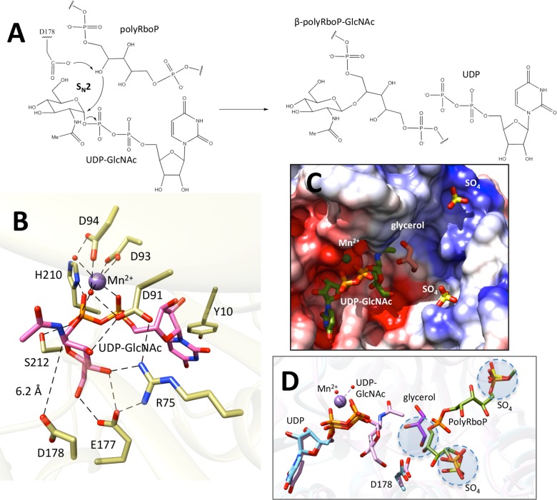 Fig 4