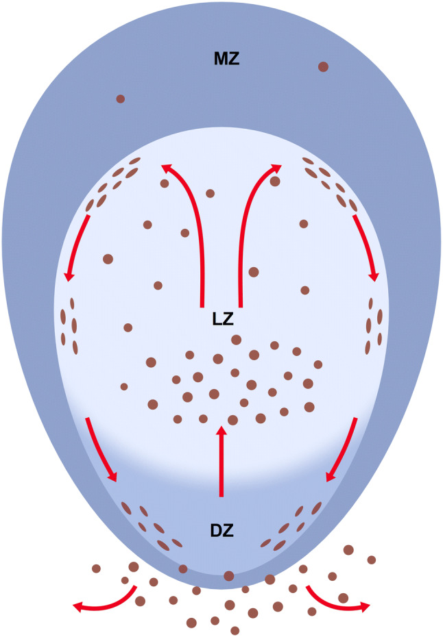 Fig. 11