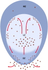 Fig. 11
