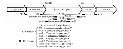 Fig.1