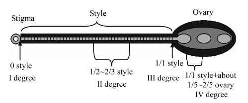 Fig.2